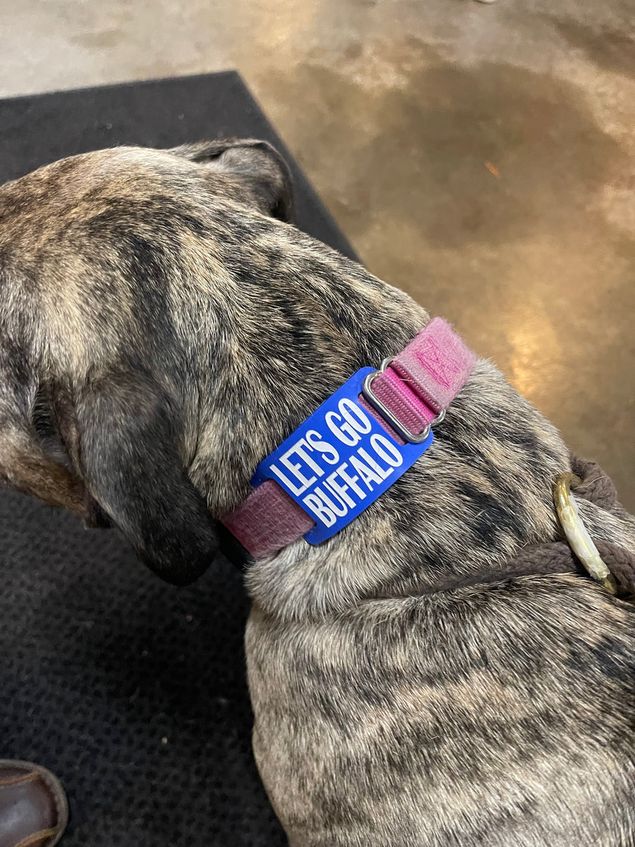 Buffalo Pet Tag 