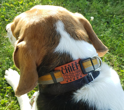 The best type of Pet ID tag
