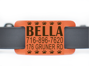 Basic Silicone Pet ID Tag