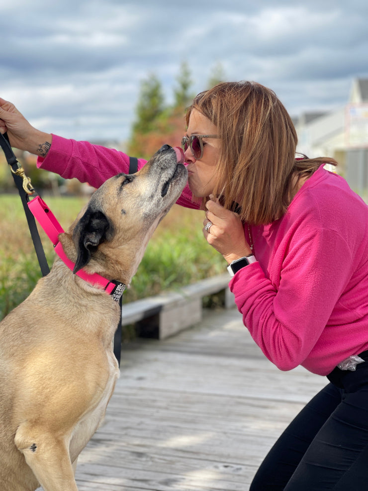 Martingale Comfort Collar