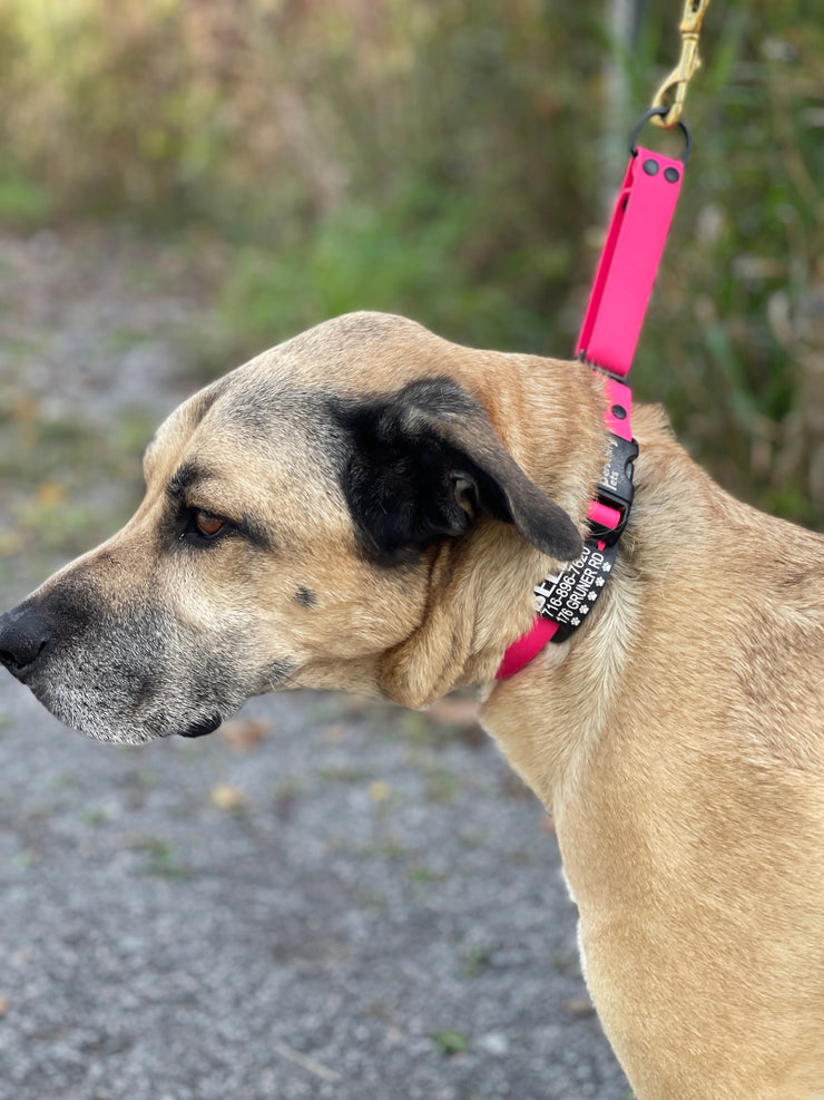 Martingale Comfort Collar