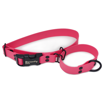 Martingale Comfort Collar